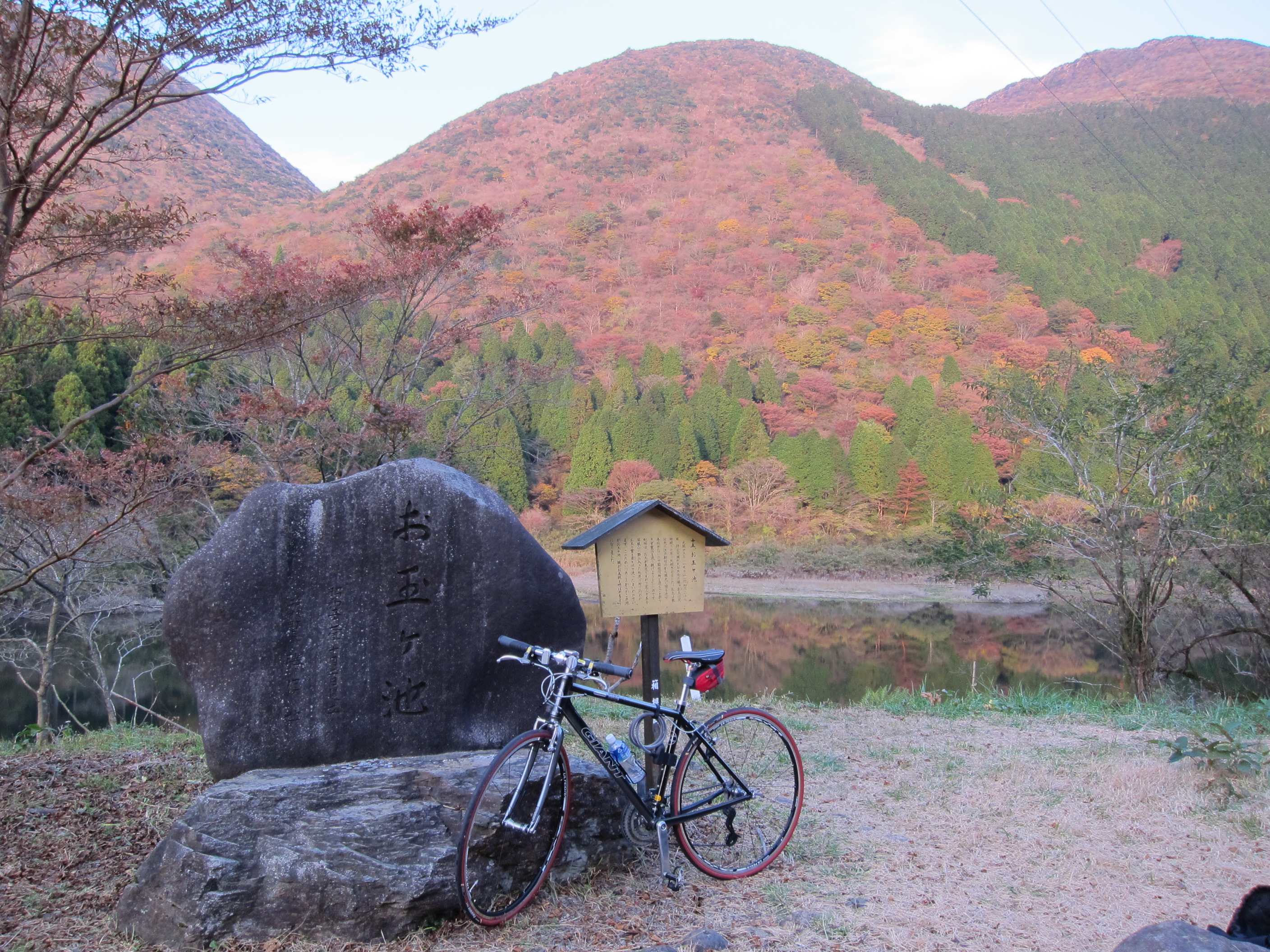 Whisky link 自転車部　神奈川支部だより５