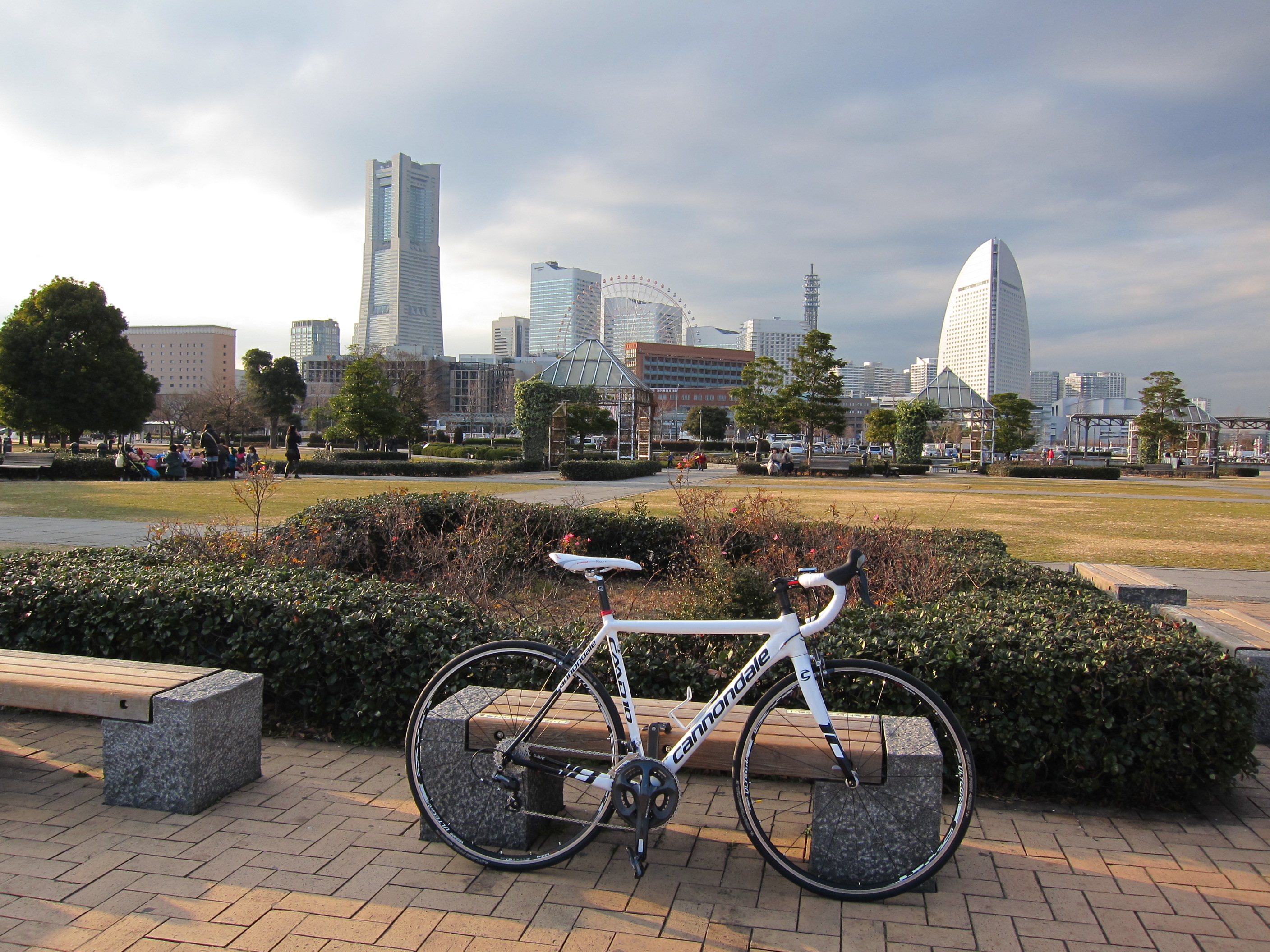 Whisky link 自転車部　神奈川支部だより６